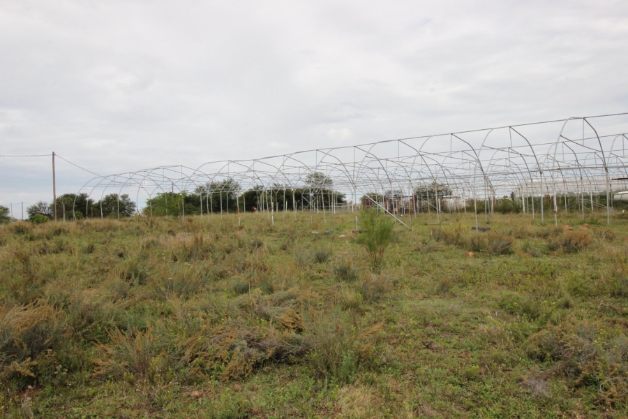 3 Bedroom Property for Sale in Lake Deneysville Free State